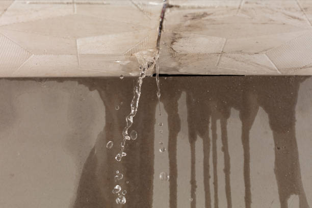 Professional Water Damage Inspection technician working in Glenville, CT